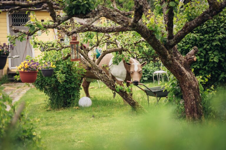 Våland Kolonihage Stavanger
